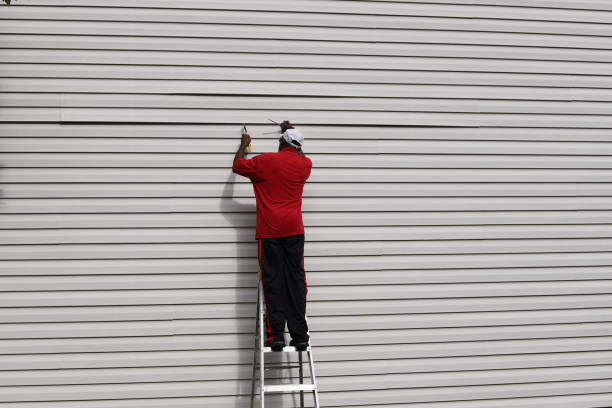 Best Aluminum Siding Installation  in Hampton, VA