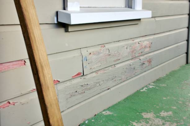 Best Siding Painting and Refinishing  in Hampton, VA
