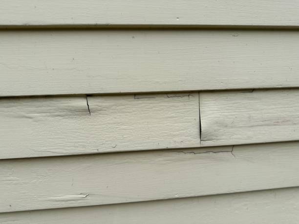 Best Steel Siding Installation  in Hampton, VA